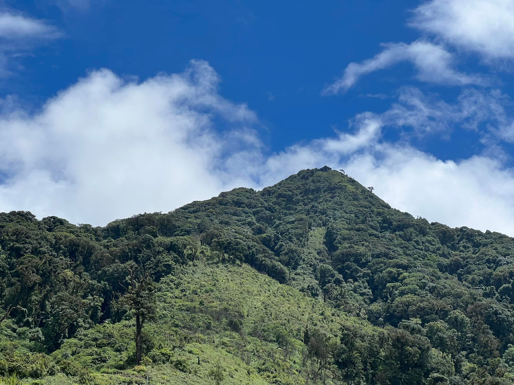 Shan Hills